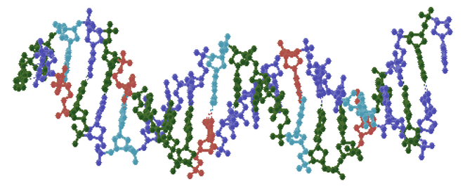 MONDE A ARN / ADN – 3800 MA – Océan